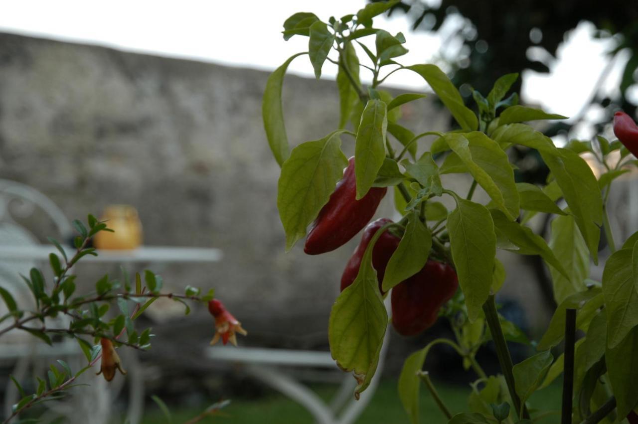 Castello D'Alcontres Guest House 3 Stelle Ница ди Сицилия Екстериор снимка